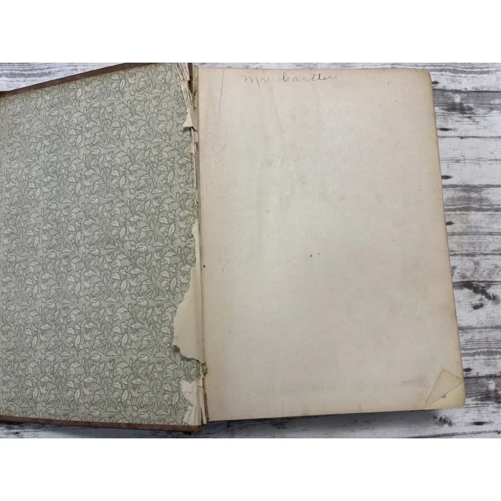 THE HOUSEHOLD ENCYCLOPAEDIA OF BUSINESS AND SOCIAL FORMS HC 1890 Domestic Life